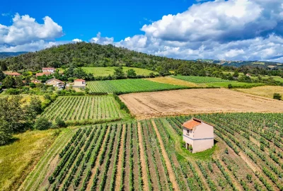 Champdieu-vue-drone-vigne-Julien-Audigier-5